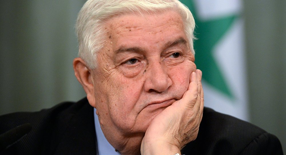 Walid Al-Mouallem: Gegen das Gesetz des Dschungels vorgehen