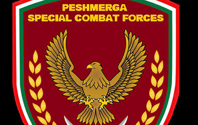 Video: 120 Häuser, von Peschmerga Kämpfern, im arabisch geprägten Dorf, Barzan&nbsp;zerstört