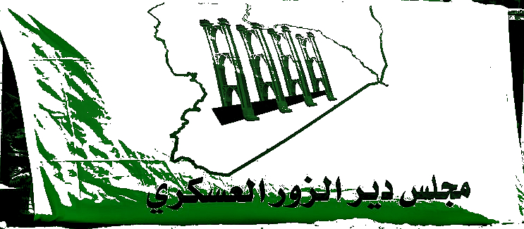 SDF versprechen der Syrischen Armee beizutreten, sollte Syrien ein föderales Land&nbsp;werden