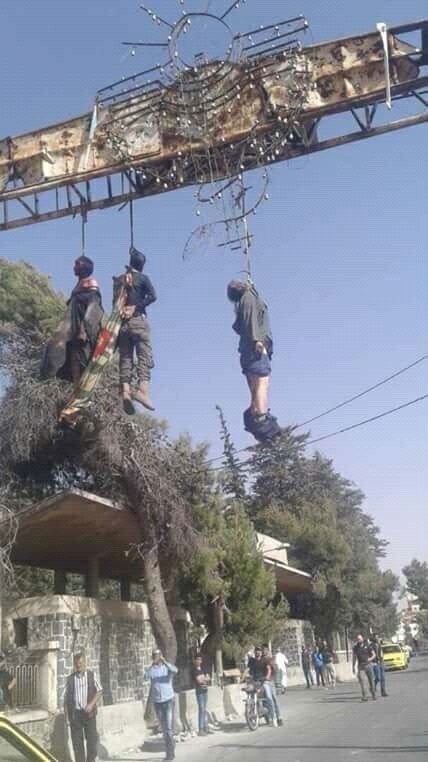 LiveLeak-dot-com-pqmWZpsCT_g_1532554601